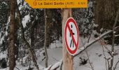 Tour Schneeschuhwandern Cerniébaud - la patte d'oie  - Photo 1