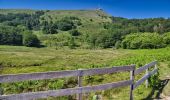 Trail Walking Sare - La Rhune an A/R depuis le col de St Ignace - Photo 4