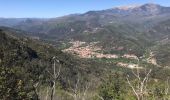 Tour Wandern Arles-sur-Tech - Col de Paracols depuis Arles sur Tech - Photo 6