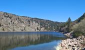 Trail Walking Orbey - lac blanc, gazon du faing, lac noir, rocher Hans, lac blanc  - Photo 14