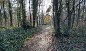 Trail Walking Herentals - Herentals 24,7 km - Photo 12