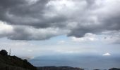 Tour Wandern Collioure - Tour de Madaloc - Photo 5