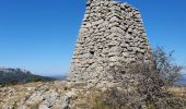 Trail Walking Mazaugues - le Mourre d'Agnis au départ du Caucadis - Photo 10