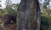 Tocht Stappen Fontainebleau - Fontainebleau Sentier Denecourt N°10 - Photo 14