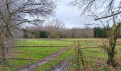 Trail Walking Aywaille - sedoz - vert-buisson (via ninglinspo) - porallée - vieux chera - sedoz - Photo 10