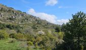 Trail Walking Caussols - De Caussols vers le sommet et le plateau de Calern - Photo 4