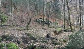 Trail  Saint-Julien-en-Vercors - Moulin marquis  - Photo 3