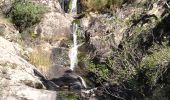 Tour Wandern Collobrières - Collobrières chartreuse de la Verne avec cascades - Photo 3