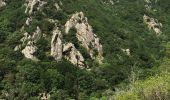 Tour Wandern Riols - Sentier des légendes (1000 marches) par Langlade (Riols) - Photo 7