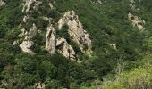 Trail Walking Riols - Sentier des légendes (1000 marches) par Langlade (Riols) - Photo 7