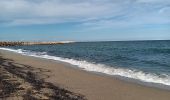 Trail Walking Argelès-sur-Mer - racou - collioure - racou / en boucle - Photo 2