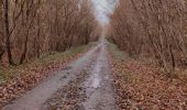 Randonnée Marche Belœil - Promenade autour du Château De Beloeil  - Photo 4