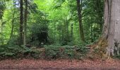 Trail Walking Seraing - bois de la vequée par les petits chemins (version courte) - Photo 15