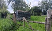 Trail Walking Theux - lareid . vertbuisson . haut marais . fraineux . la reid  - Photo 13