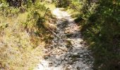 Tocht Stappen Mirabel-et-Blacons - Chapelle Saint-Christophe - Charsac - Photo 6