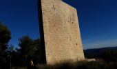 Tour Wandern Puget-Ville - Les Thèmes-27-01-21 - Photo 9