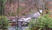 Tocht Noords wandelen Jalhay - Pont de Belleheid/ Longfaye(en ligne) - Photo 2