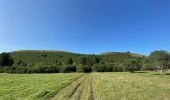 Tocht Stappen Ceyssat - Puy-de-Dôme, Petit Suchet et Grand Suchet - Photo 14