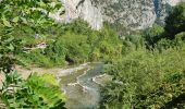 Randonnée A pied Arco - Sentiero di Vallestrè - Photo 5