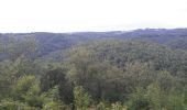 Tour Wandern La Roche-en-Ardenne - Berismenil du mardi - Photo 1