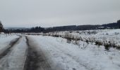 Randonnée Marche Waimes - entre botrange et bois de sourbrodt - Photo 6