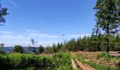 Tocht Stappen Stavelot - Promenade du point de vue de Ster  - Photo 2