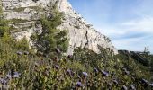 Tour Wandern Saint-Antonin-sur-Bayon - Le garagai  retour pas le pas du moine et le pas du berger - Photo 17