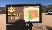 Tour Wandern Chasselas - Chasselas (Saône- et-Loire région Bourgogne)   - Photo 8