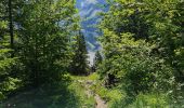 Randonnée Marche Pralognan-la-Vanoise - Bois de la Rossa (boucle) - Photo 4