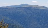 Excursión Senderismo Kruth - Lac de Kruth - Grand Ventron - château de Wildenstein  - Photo 18