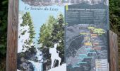 Trail Walking Cauterets - Sentier du Lisey - Photo 18