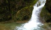 Excursión Senderismo Ornans - Ornans - Cascades  Baume Bourla de la tuffière- Source Bleue 29 déc 2020 CAF - Photo 11