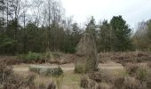 Tocht Te voet Maasmechelen - Mechelse Heide Groene rechthoek - Photo 2