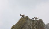 Tour Zu Fuß Carona - Sentiero delle Orobie Occidentali - Tappa 6 - Photo 2