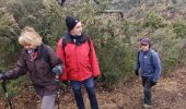 Trail Walking Roquebrune-sur-Argens - La haute Cavalière - Photo 4