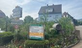 Trail Walking Barr - Domaine Saint Jacques , Obernai  - Photo 7