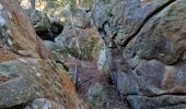 Randonnée Marche Fontainebleau - Sentier Denecourt 1 - Photo 4