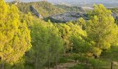 Percorso Sentiero Cheval-Blanc - Trou Du Rat(14K 380D+) - Photo 2