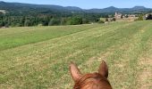 Trail Horseback riding Ban-de-Sapt - Belle Fosse - Ban de Laveline   - Photo 1