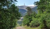 Trail Walking Beaumont-du-Ventoux - Ventoux direct - Photo 3