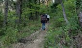 Trail Walking Granges-les-Beaumont - Granges-les-Beaumont - Photo 3