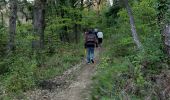 Excursión Senderismo Granges-les-Beaumont - Granges-les-Beaumont - Photo 3