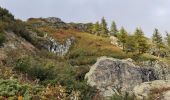 Excursión Senderismo La Chapelle-en-Valgaudémar - Lac du Lauzet - Photo 6