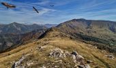 Tocht Stappen Valavoire - Château de la mole - Col de la Sapie - Photo 3