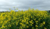 Tour Wandern Saint-Pierre-des-Fleurs - 20240409-StPierre des Fleurs Cool - Photo 18