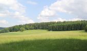 Percorso A piedi Flörsbachtal - Grünes Eichenblatt, Rundweg Mosborn - Photo 2