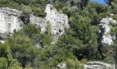 Randonnée Marche Signes - Tour du baou de Serein - Photo 16