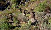 Tour Wandern La Garde-Freinet - SityTrail - Fort Freinet-la Garde-Freinet-02-06-23 - Photo 15