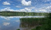 Excursión Senderismo Seekirchen am Wallersee - Le tour du Wallersee - Photo 3