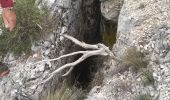 Excursión Senderismo Puyloubier - tour des grottes depuis Puyloubier - Photo 4